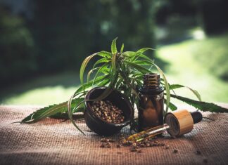 Żeńskie nasiona marihuany i ich kupno